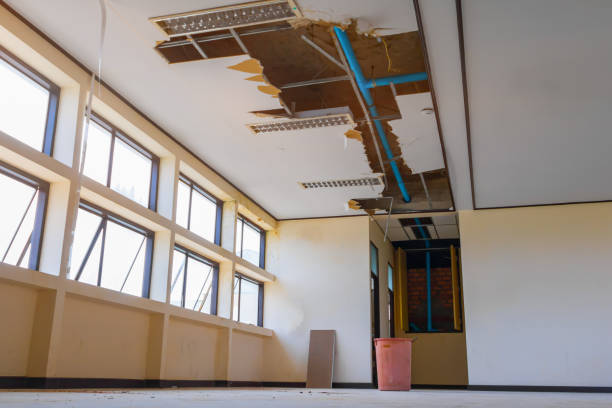 Best 24-hour water damage restoration  in Pilot Point, TX