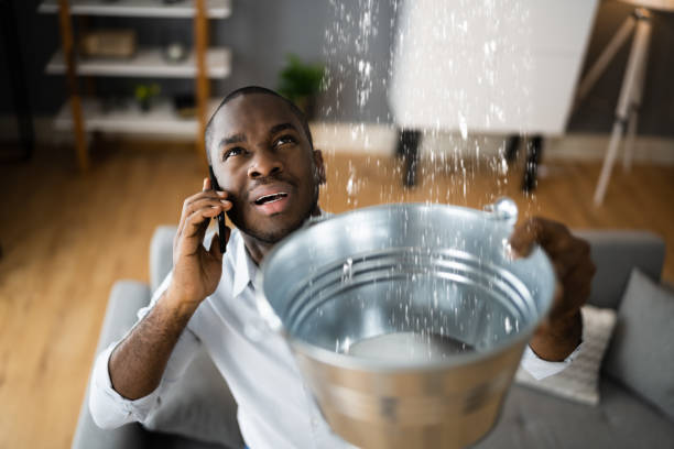 Best Mold removal after water damage  in Pilot Point, TX