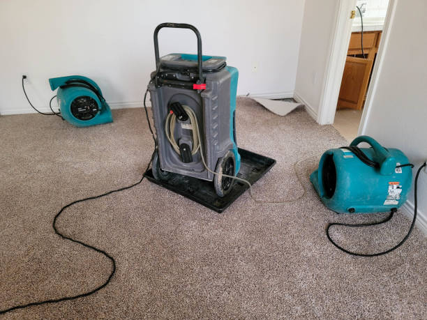 Best Residential water damage restoration  in Pilot Point, TX
