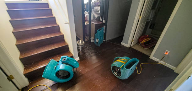 Best Water damage cleanup near me  in Pilot Point, TX