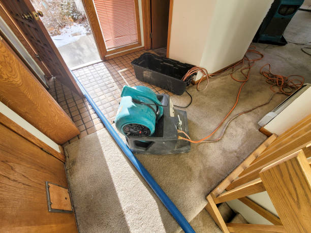 Best Ceiling water damage repair  in Pilot Point, TX