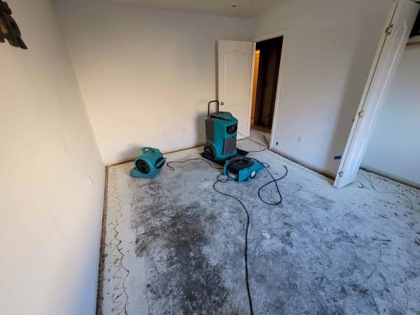 Best Emergency water damage restoration  in Pilot Point, TX
