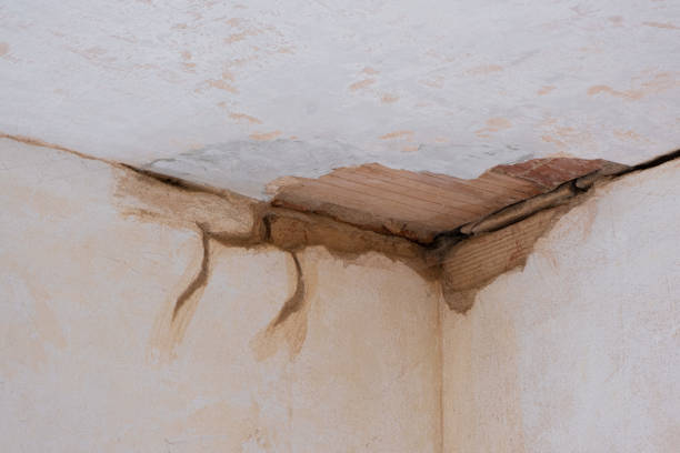 Best Water damage contractors near me  in Pilot Point, TX