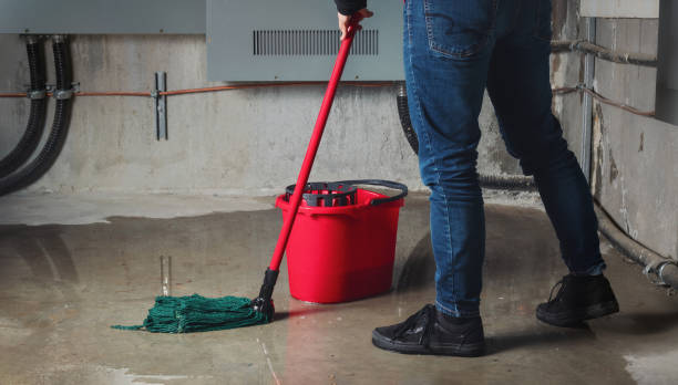 Best Flood restoration services  in Pilot Point, TX