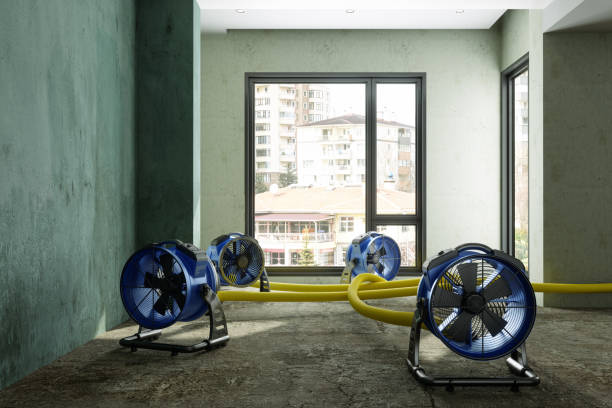 Best Water damage contractors near me  in Pilot Point, TX